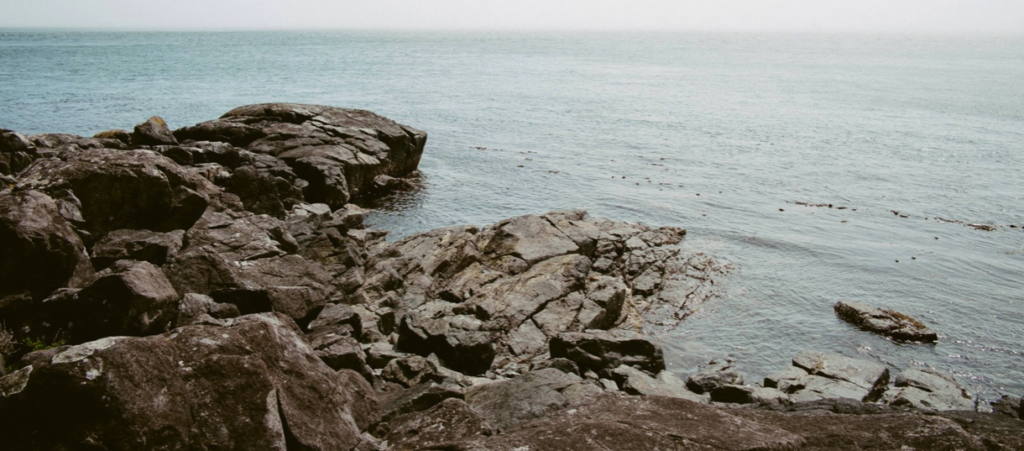 Harbormaster